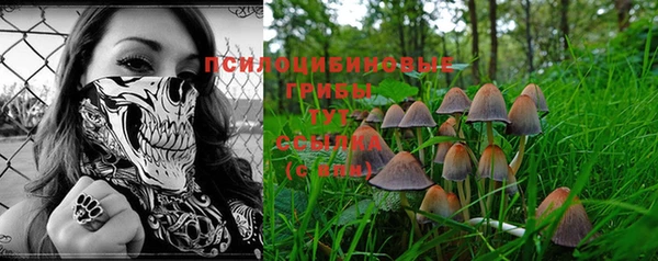 Альфа ПВП Абинск