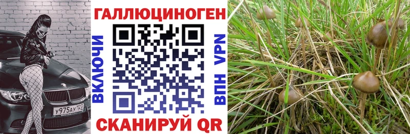 Галлюциногенные грибы Magic Shrooms  Ярославль 